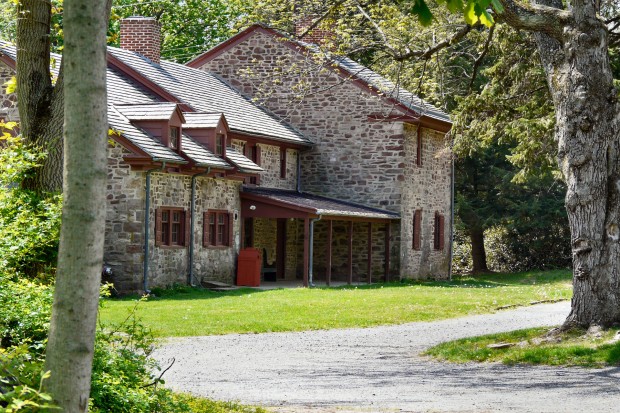 Back of House in Summer